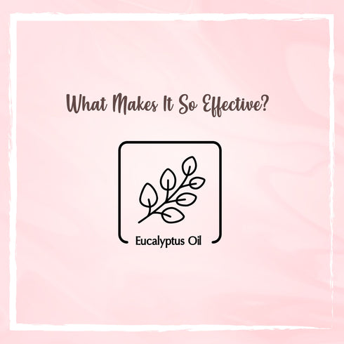 the beauty co India Eucalyptus Essential Oil